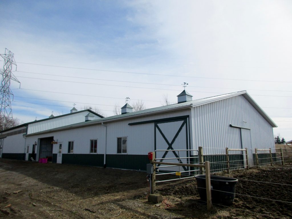 Ramiro & Kirstin - South Bend, IN 60 x 104 x 16 Horse Riding Arena, and a 42 x 24 addition with horse stalls. Tack room also was built. Green roof, trim, and wainscoting, with white sides.